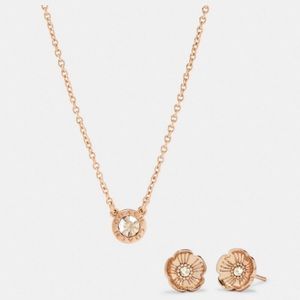 Coach Earrings - Necklace Set